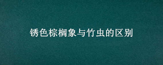 锈色棕榈象与竹虫的区别 锈色棕榈象和竹虫的区别