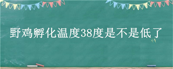 野鸡孵化温度38度是不是低了（野鸡孵小鸡温度）