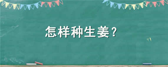 怎样种生姜 怎样种生姜的最好方法