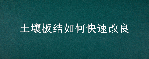 土壤板结如何快速改良 花盆土壤板结如何快速改良