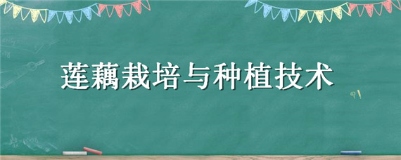 莲藕栽培与种植技术（莲藕栽培与种植技术与管理）