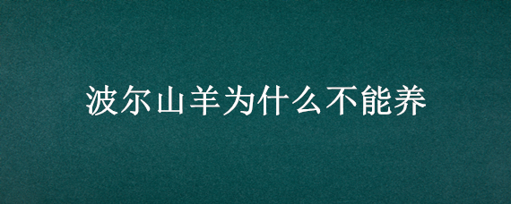 波尔山羊为什么不能养 波尔山羊为什么不能养了