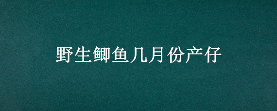 野生鲫鱼几月份产仔 野生鲫鱼什么时候产子孵化