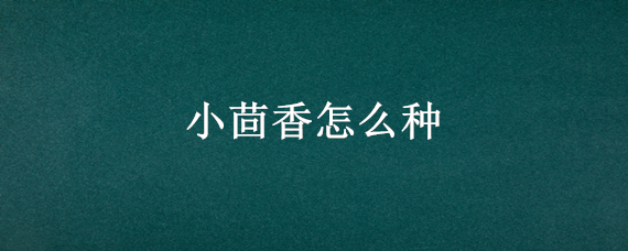 小茴香怎么种 小茴香怎么种植视频