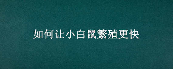 如何让小白鼠繁殖更快（如何让小白鼠繁殖更快呢）