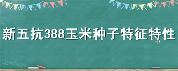 新五抗388玉米种子特征特性（新五抗388玉米种子是国审品种吗）