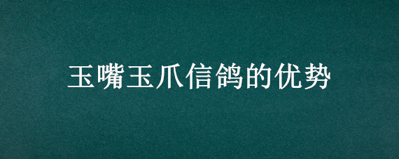 玉嘴玉爪信鸽的优势（玉嘴玉爪种鸽育种价值）