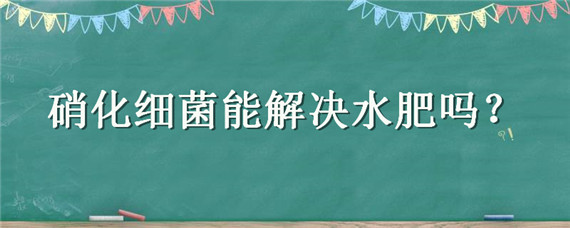 硝化细菌能解决水肥吗 硝化细菌能改善水质吗