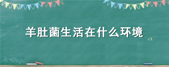 羊肚菌生活在什么环境 羊肚菌生活在什么环境?