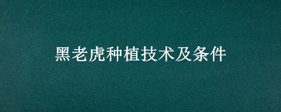 黑老虎种植技术及条件 黑老虎的种植技术及培植