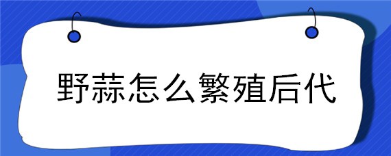 野蒜怎么繁殖后代（野蒜怎么繁殖后代夏天为什么不长叶子）