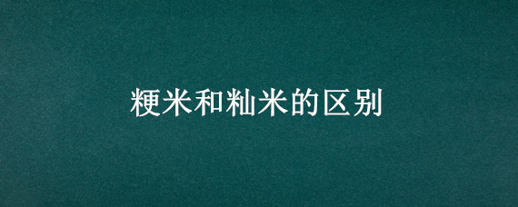 粳米和籼米的区别 粳米和籼米的区别哪个好