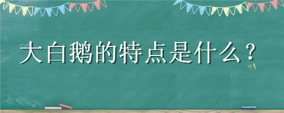 大白鹅的特点是什么 大白鹅的性格特点