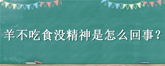 羊不吃食没精神是怎么回事（羊不吃东西没精神怎么回事）