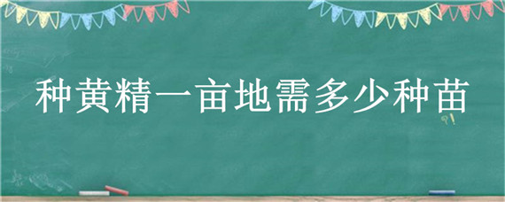 种黄精一亩地需多少种苗