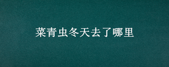 菜青虫冬天去了哪里（菜青虫冬天去了哪里实验设计）