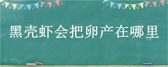 黑壳虾会把卵产在哪里 黑壳虾把卵产鱼缸吗