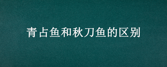 青占鱼和秋刀鱼的区别（青占鱼和秋刀鱼的区别图片）