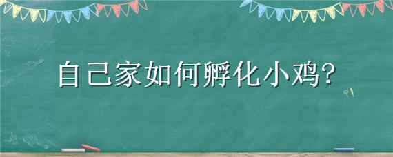 自己家如何孵化小鸡（自己家如何孵化小鸡视频）