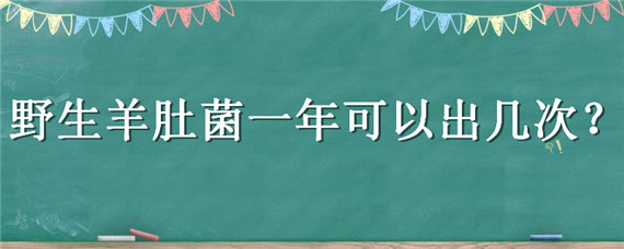 野生羊肚菌一年可以出几次 野生羊肚菌每年几月份出土