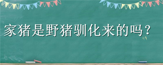 家猪是野猪驯化来的吗 家猪是野猪进化来的吗