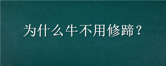 为什么牛不用修蹄 牛不修蹄子