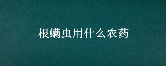 根螨虫用什么农药（根螨虫用什么农药最有效）