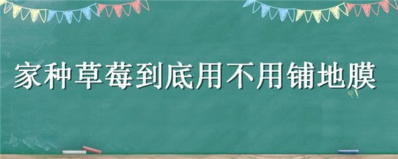 家种草莓到底用不用铺地膜（家种草莓到底用不用铺地膜呀）