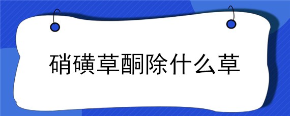 硝磺草酮除什么草（硝磺草酮除什么草精草安磷胺盐除草剂除哪些草）