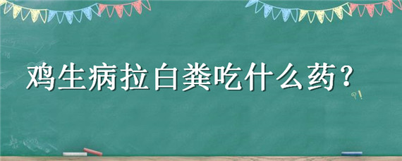 鸡生病拉白粪吃什么药（鸡拉白痢最快急救方法）