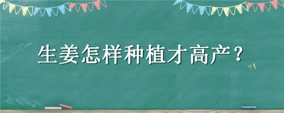 生姜怎样种植才高产 生姜怎样种植才高产视频