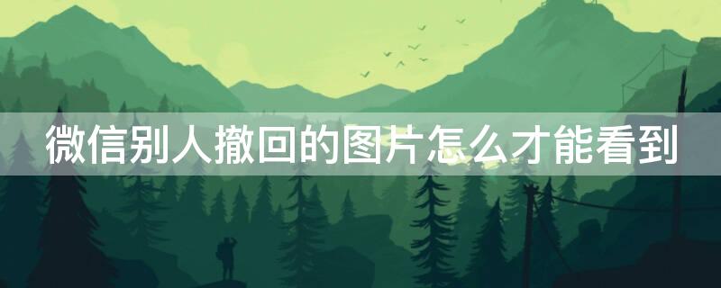 微信别人撤回的图片怎么才能看到 一招恢复对方撤回的微信