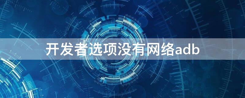 开发者选项没有网络adb 开发者选项里没有dhcp