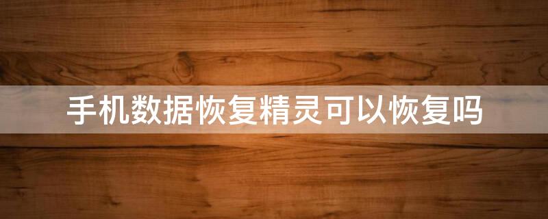 手机数据恢复精灵可以恢复吗 手机数据恢复精灵能用吗