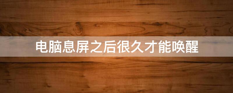电脑息屏之后很久才能唤醒