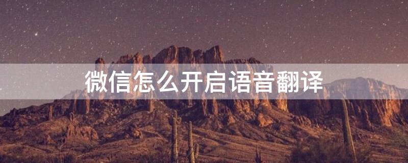 微信怎么开启语音翻译 微信语音翻译在哪里设置