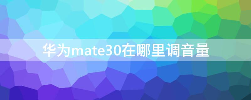 华为mate30在哪里调音量（华为mate30怎么调音量）