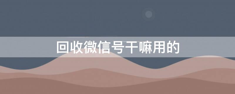 回收微信号干嘛用的（回收微信号是干嘛）