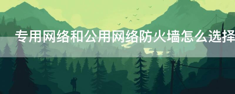 专用网络和公用网络防火墙怎么选择（防火墙公用网络和专用网络有什么区别）