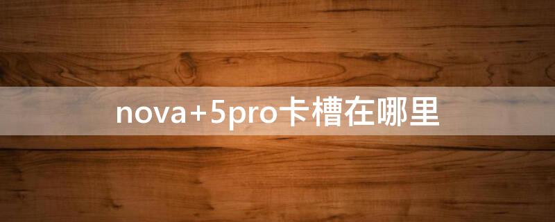 nova 5pro卡槽在哪里