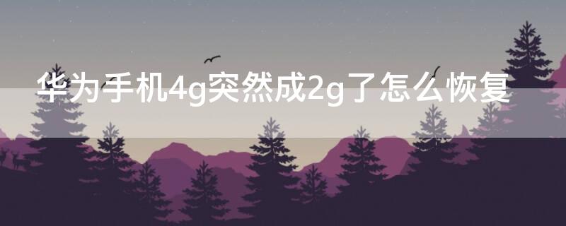 华为手机4g突然成2g了怎么恢复（手机一直是2g重启也没用）
