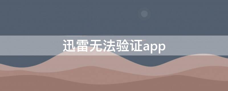 迅雷无法验证app(迅雷无法验证其完整性)