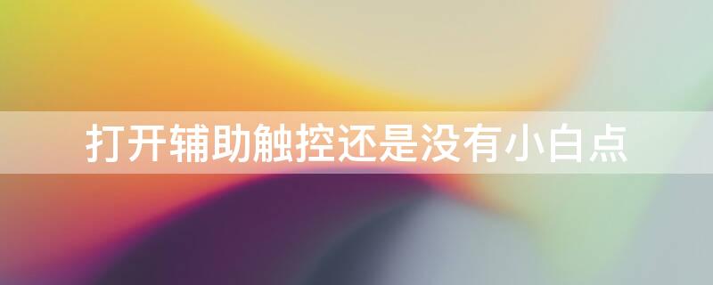 打开辅助触控还是没有小白点（打开辅助触控还是没有小白点怎么回事）