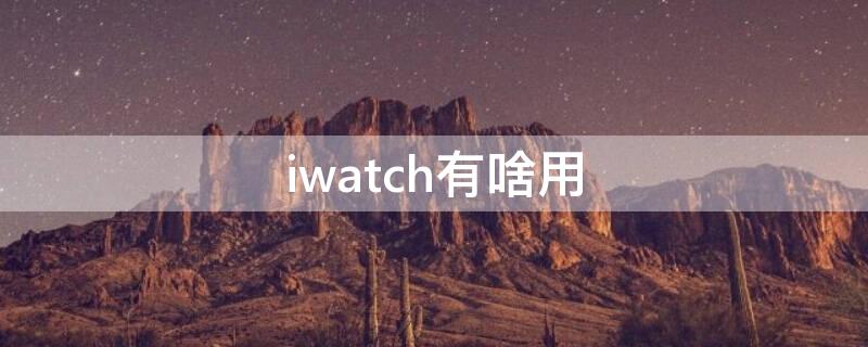 iwatch有啥用（iwatch有什么用 知乎）