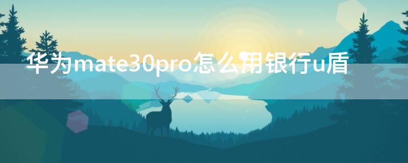 华为mate30pro怎么用银行u盾（华为mate30pro怎么插优盾）