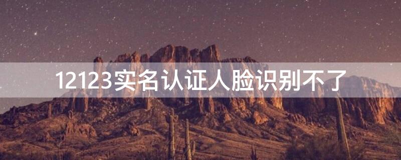 12123实名认证人脸识别不了 12123实名认证人脸识别不了怎么办