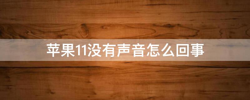 iPhone11没有声音怎么回事(iphone11没有声音是怎么回事)
