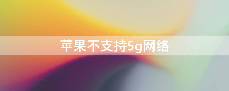 iPhone不支持5g网络（苹果不支持5g网络）