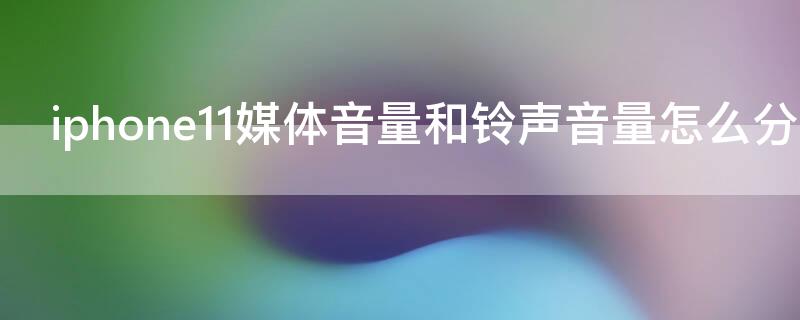 iPhone11媒体音量和铃声音量怎么分开 苹果11媒体音量和铃声音量能分开调吗