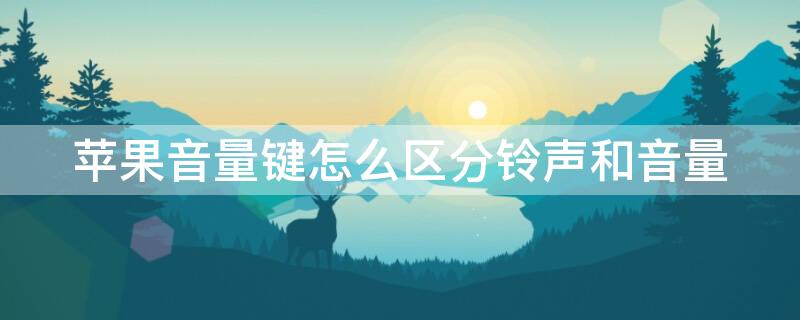 iPhone音量键怎么区分铃声和音量 如何用音量键调节iphone铃声音量